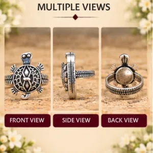 Graphic displaying multiple views of the lucky tortoise design silver ring, showing the front view of the turtle, the side view highlighting the band texture, and the back view.